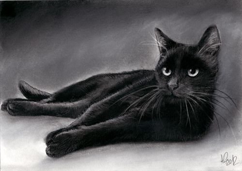 Грациозная кошка