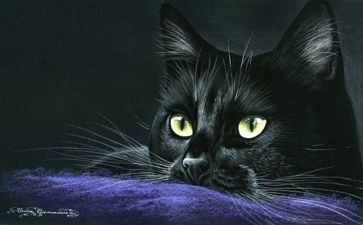Чёрные коты Ирины Гармашовой