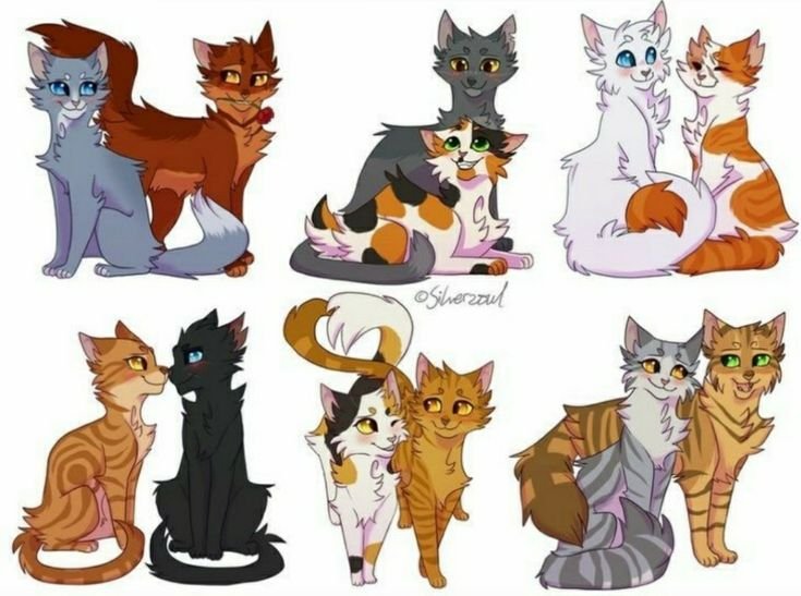 Коты Воители бурый и Медуница