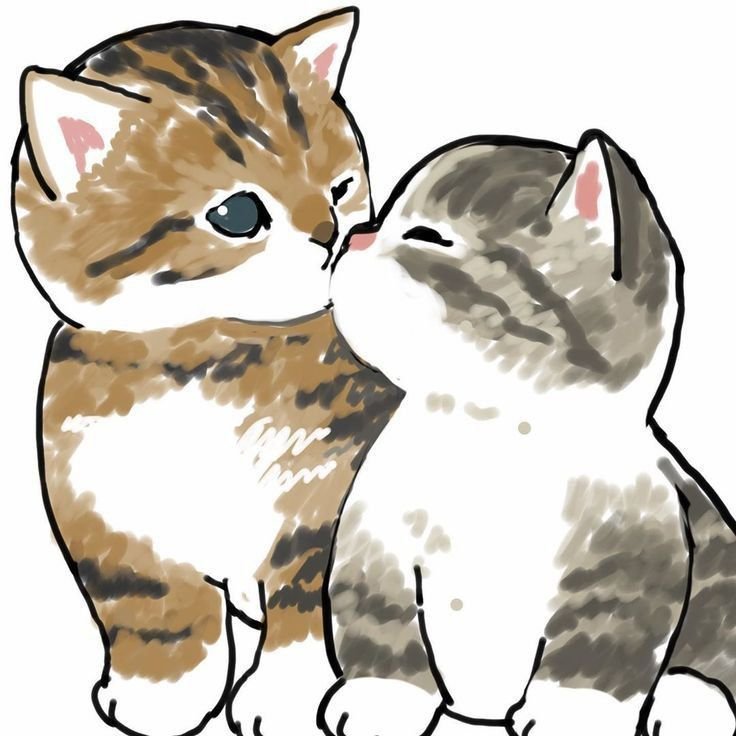 Парные котики