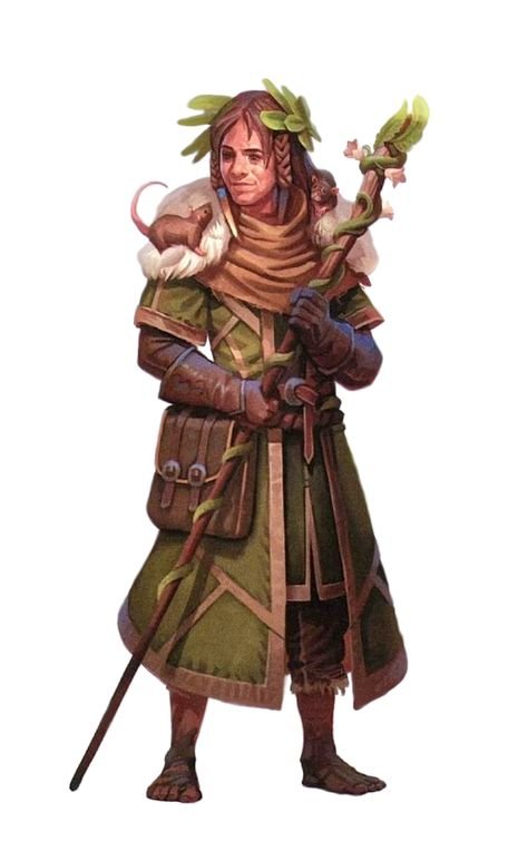 Pathfinder Полуэльф друид