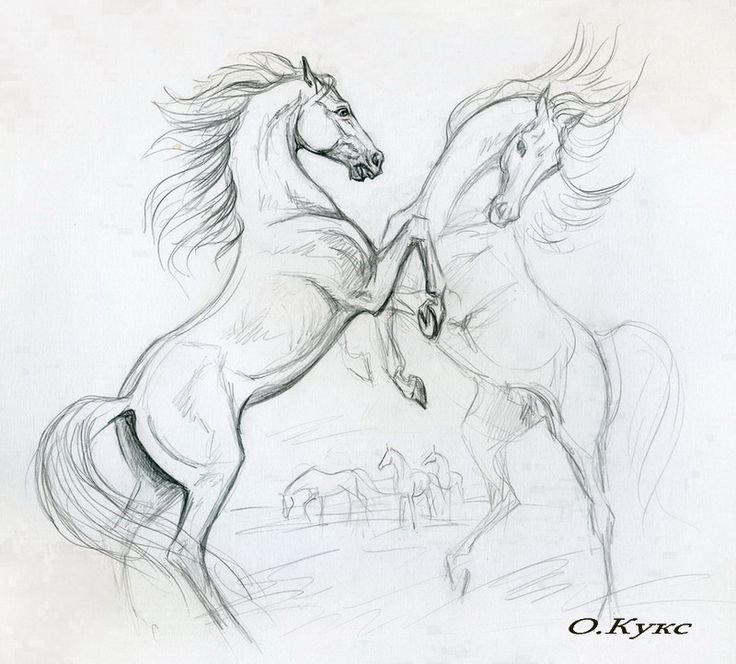 Лошадь рисунок