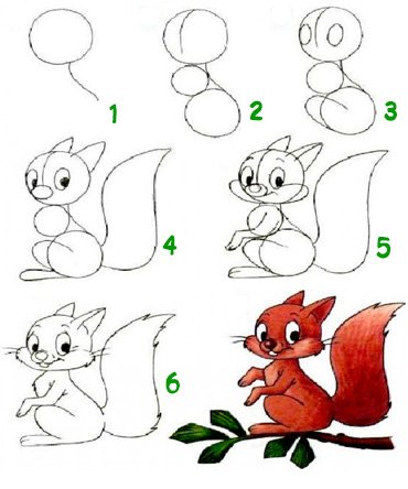 Поэтапный рисунок белочки