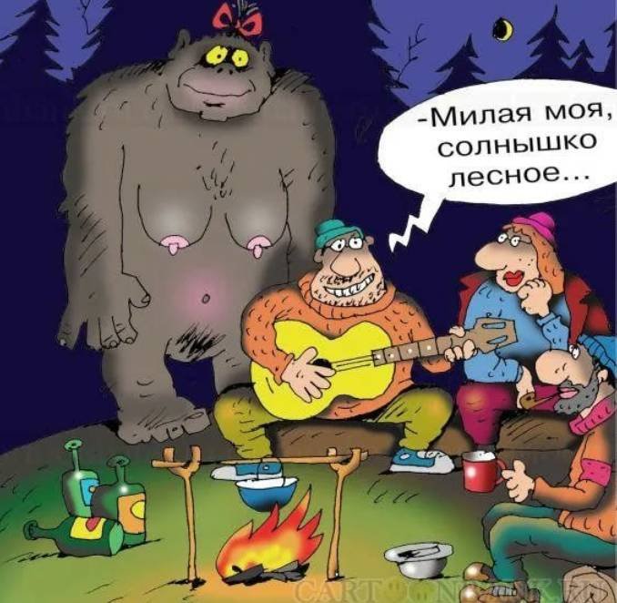 Солнышко Лесное прикол
