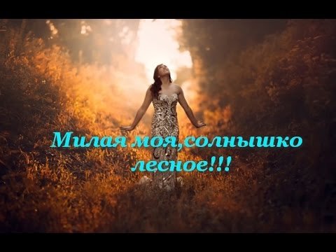 Милая моя моя солнышко Лесное