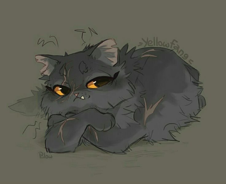GRAYPILLOW Щербатая