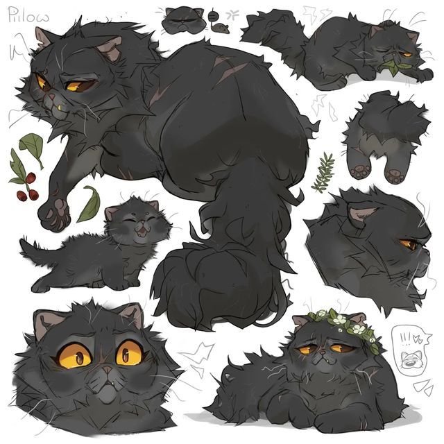 GRAYPILLOW коты Воители