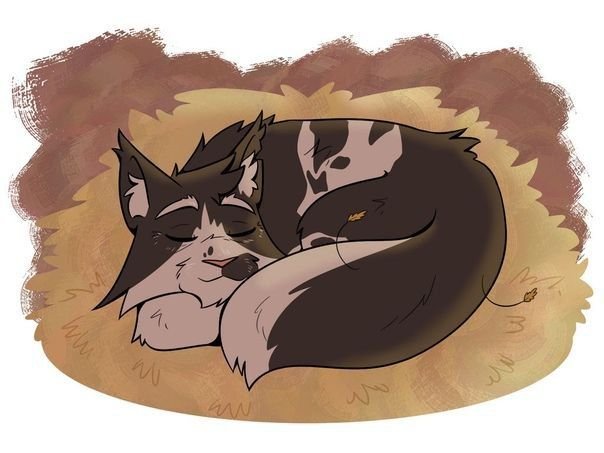 Ячмень коты Воители арт