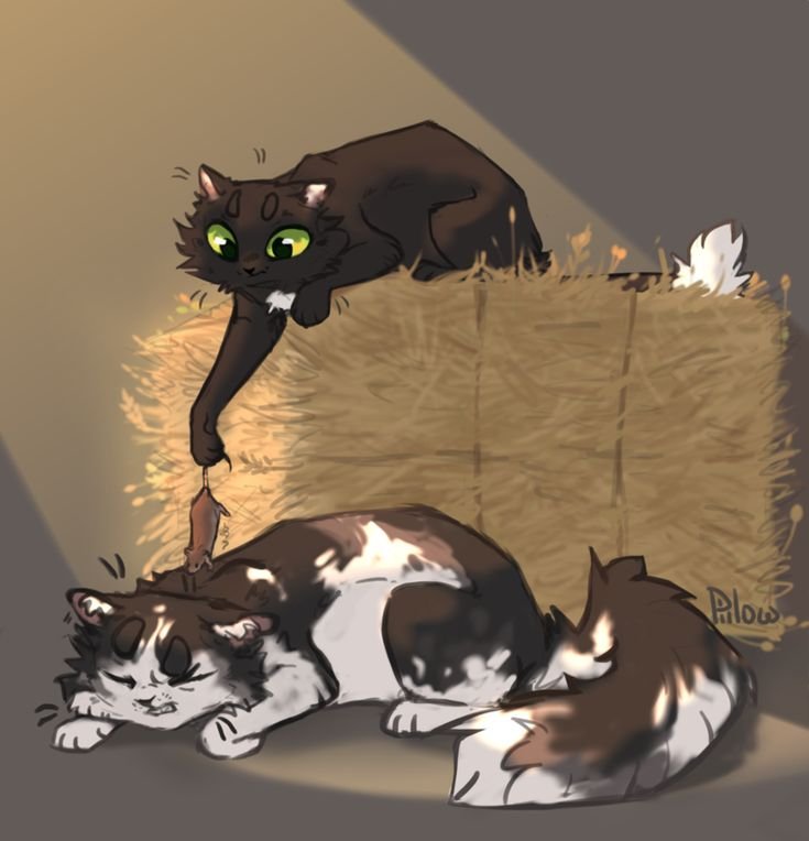 GRAYPILLOW коты Воители Горелый
