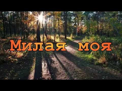 Милая моя солнышко Лесное иллюстрации