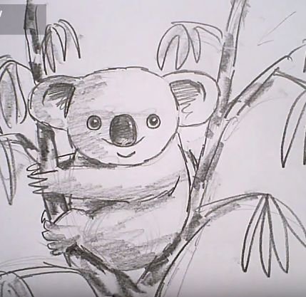 Коала рисунок карандашом
