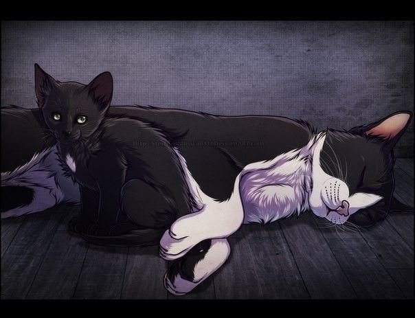 Коты Воители смерть Горелого