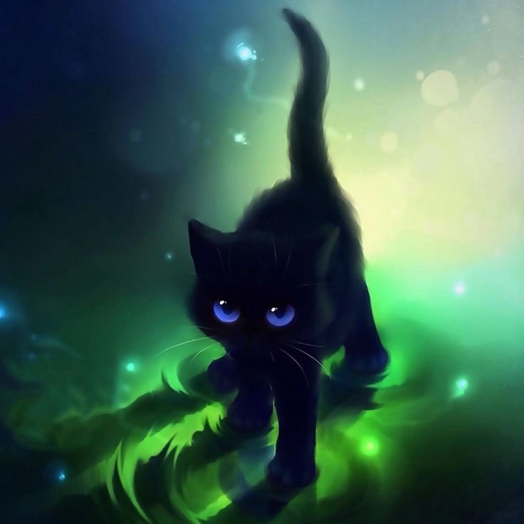 Аниме черная кошка арт