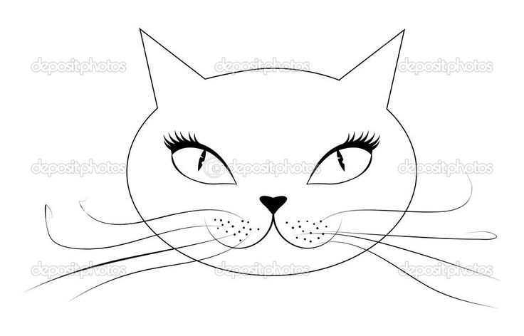 Морда кота