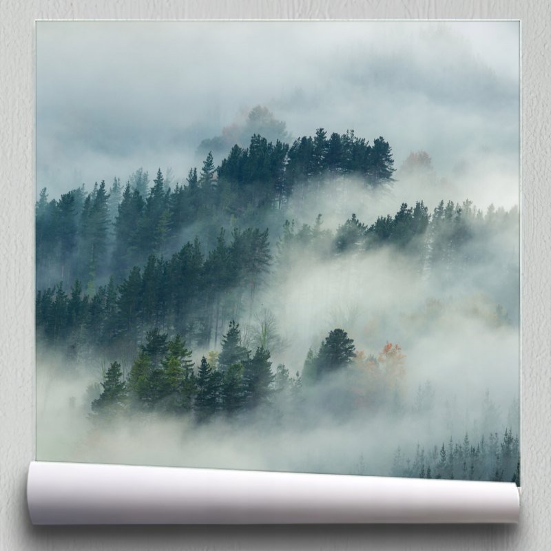 Brooks Shane Salzwedel картины