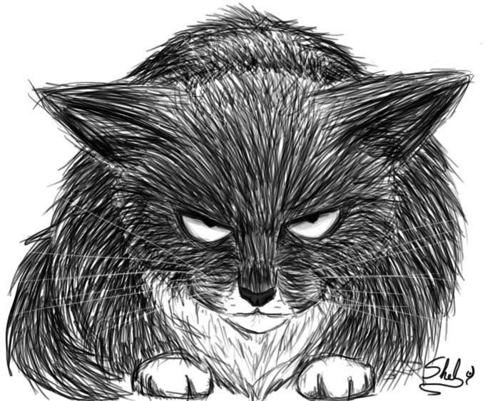 Кот рисунок