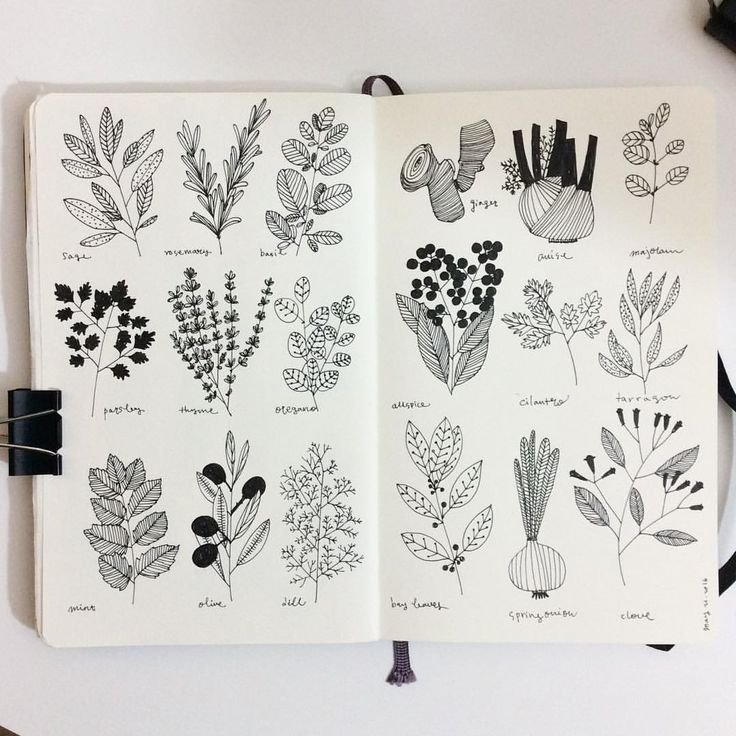 Рисунки для скутч бука