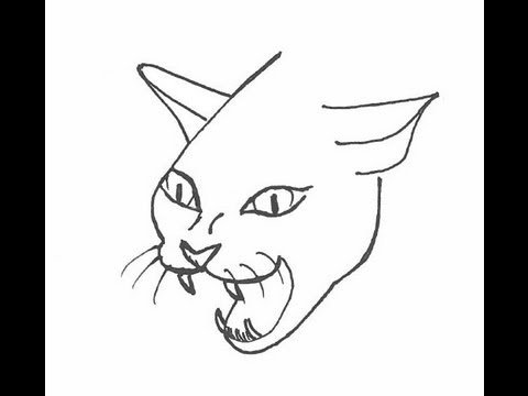 Злая кошка