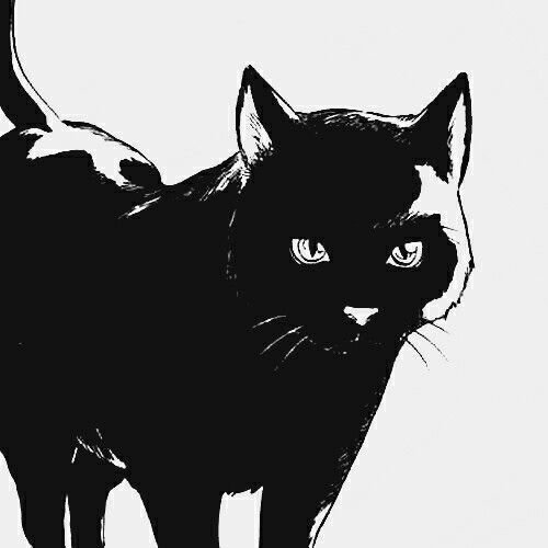 Черный кот рисунок