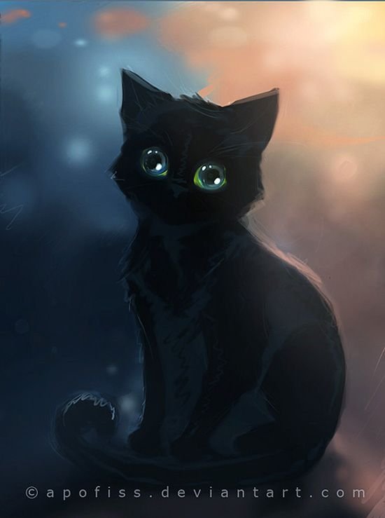 Чёрный кот