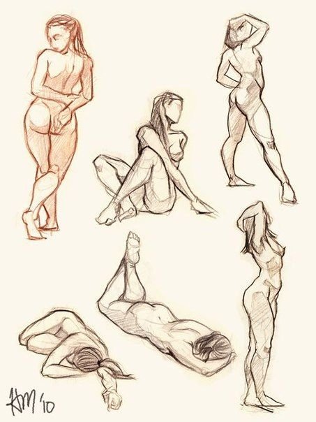 Женское тело рисунок