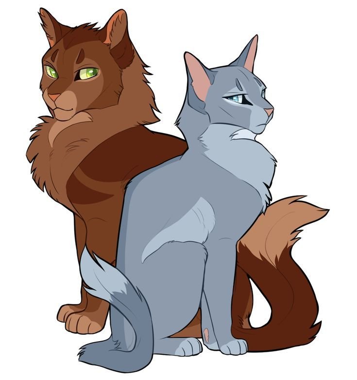 Коты Воители синяя звезда