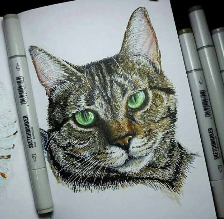 Кот маркерами для скетчинга
