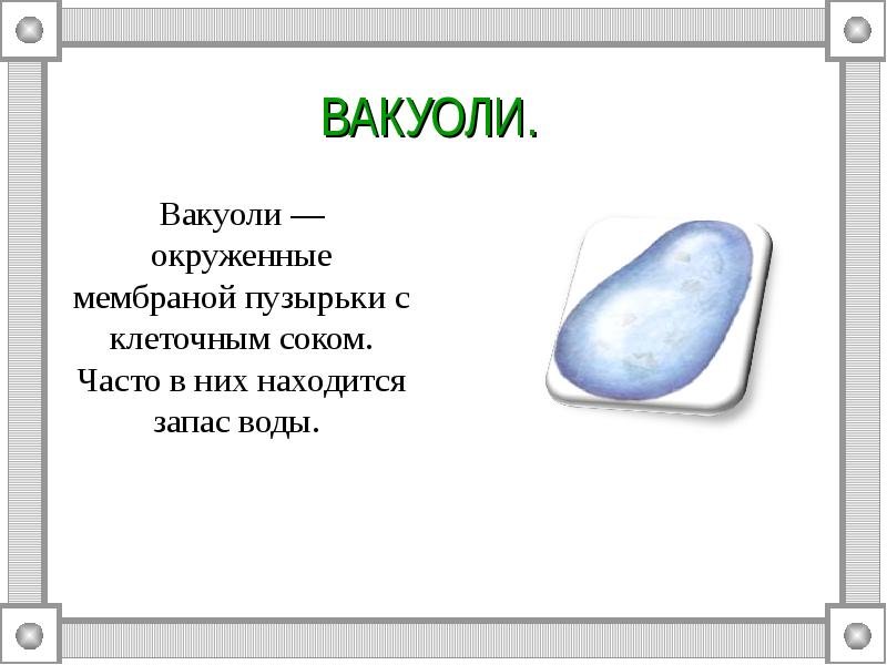 Схема вакуоли