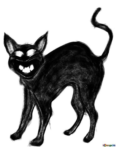 Страшный черный кот