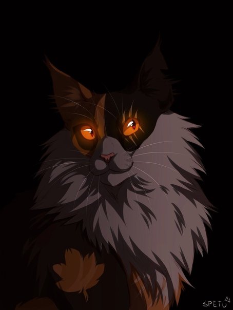 Арт Кленовницы коты Воители