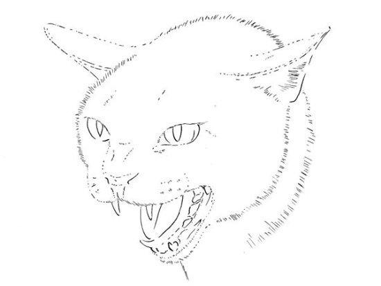 Рисование морды кота