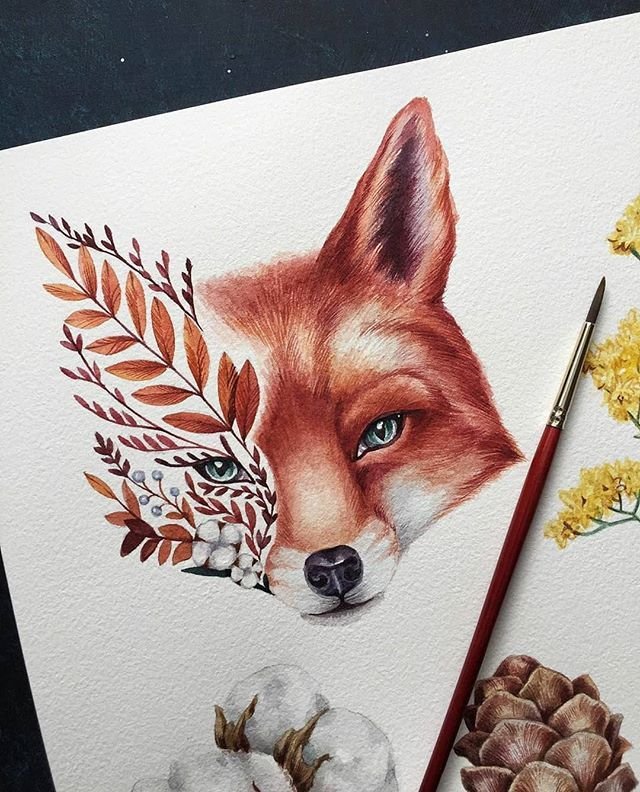 Лиса рисунок