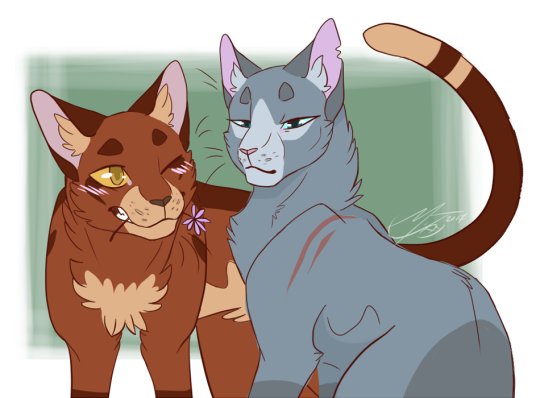 Коты Воители синяя звезда и Дроздовик