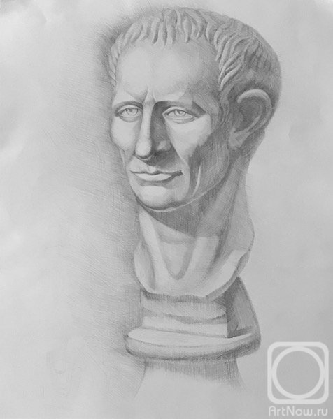 Цезарь рисунок гипсовой головы