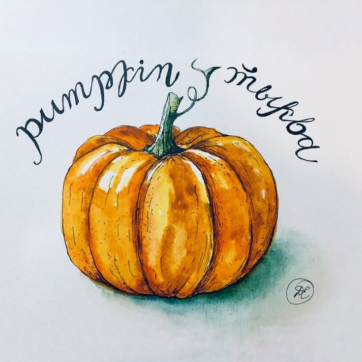Скетчинг акварель тыквы