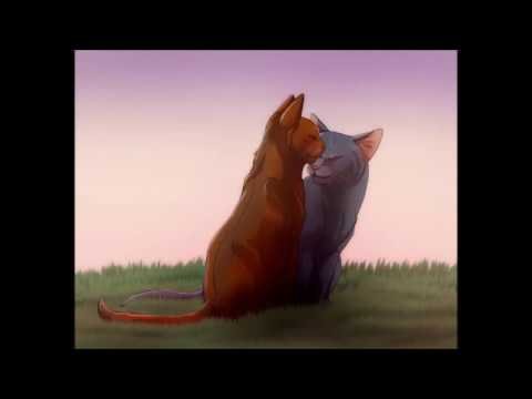Коты Воители синяя звезда