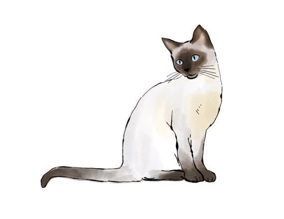 Кот рисунок