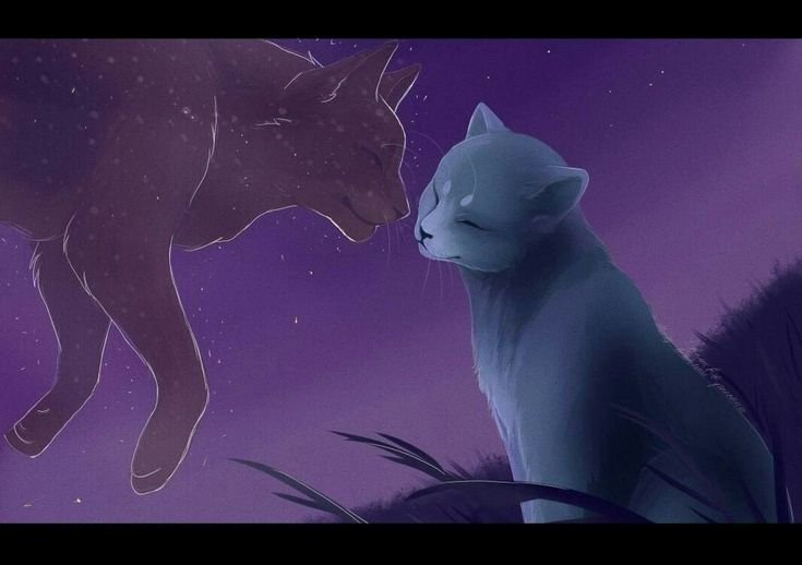 Коты Воители арт синяя звезда и Желудь