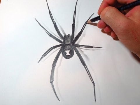 Нарисовать паука