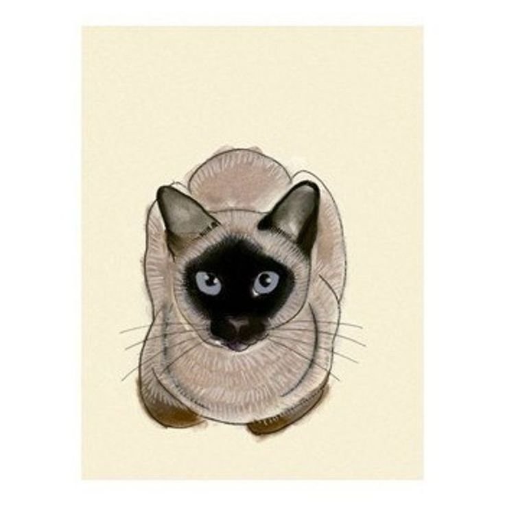 Сиамские коты
