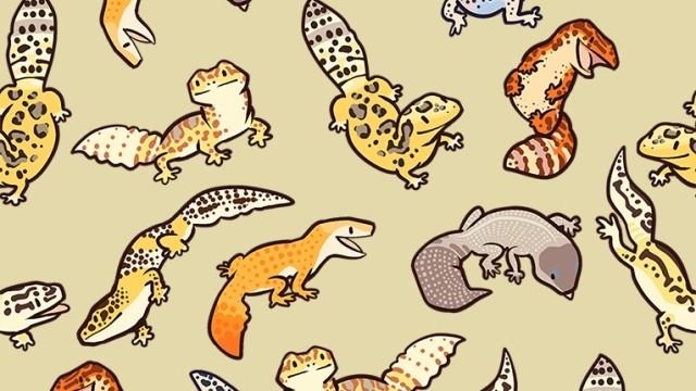 Геккон иллюстрация