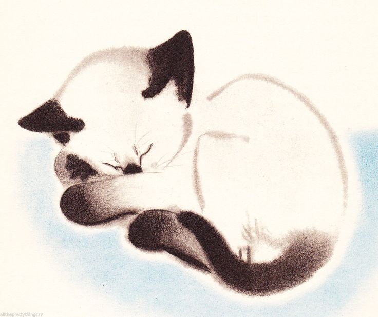 Кошка рисунок