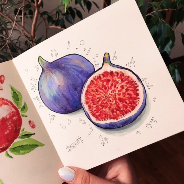 Фрукты маркерами