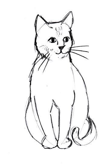 Кошка рисунок