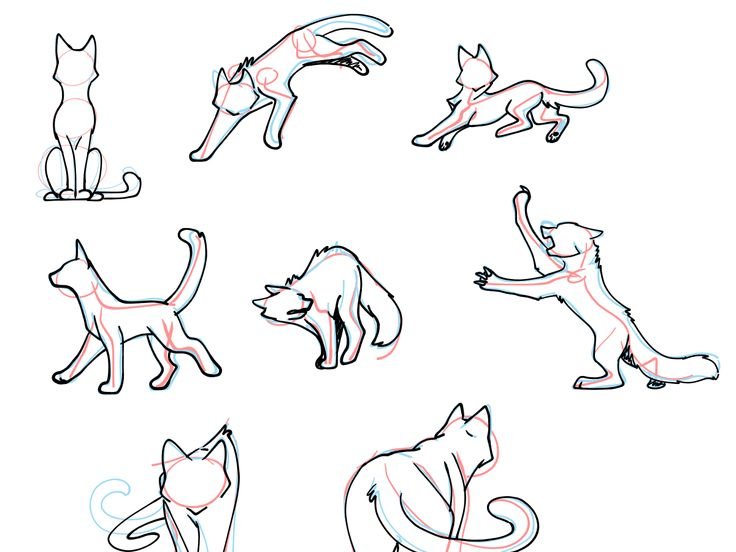 Коты Воители позы референс