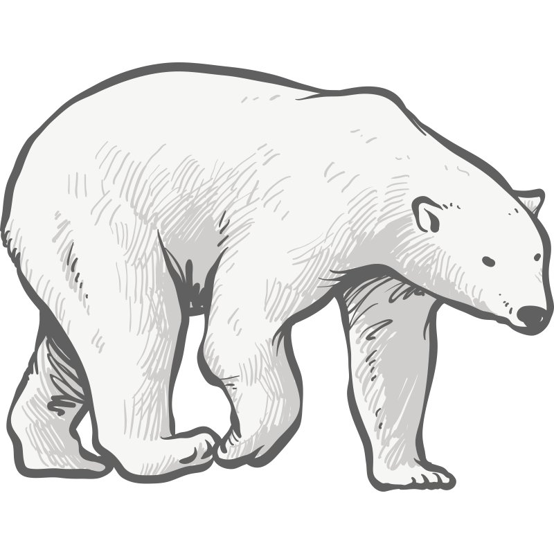 Медведь рисунок
