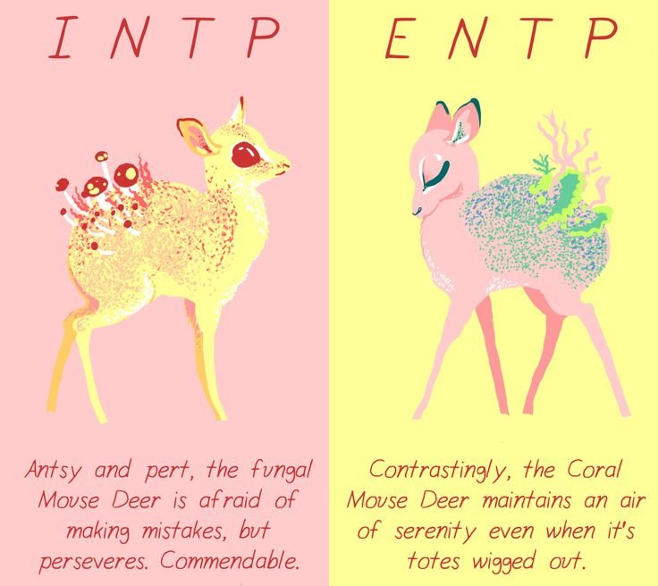 INTP арты