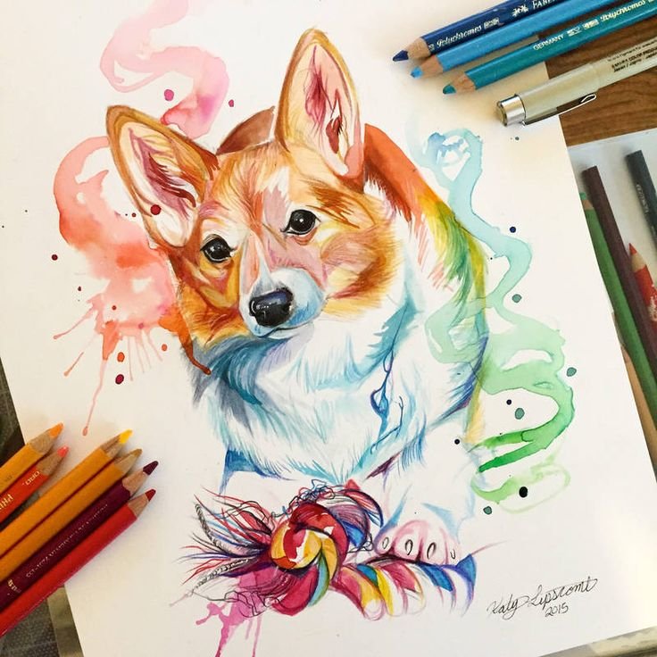Корги скетч маркерами