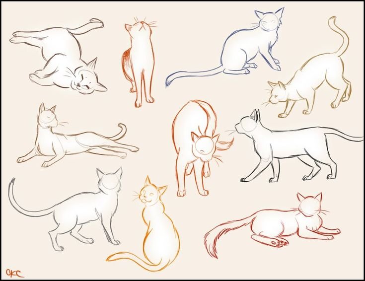 Референсы кошек для рисования