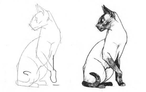 Кошка рисунок карандашом